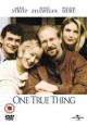 One True Thing - 1998
