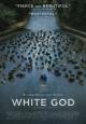 White God - 2014