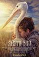 Fırtına Çocuk-Storm Boy-2019