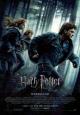 Harry Potter and the Deathly Hallows: Part 1 - 2010