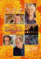 The Best Exotic Marigold Hotel - 2011