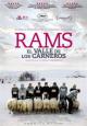 Rams - 2015