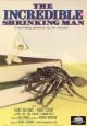 The Incredible Shrinking Man - 1957