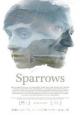 Sparrows - 2015