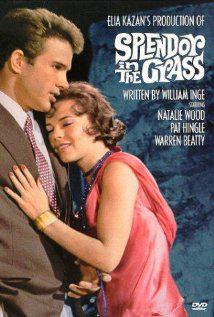 SPLENDOR IN THE GRASS (1961) izle