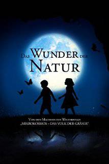 Büyülü Krallık-La clé des champs-2011