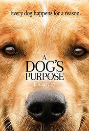 A DOG'S PURPOSE (2017) izle