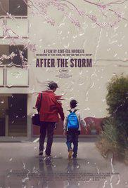 Fırtınadan Sonra-After the Storm-2016