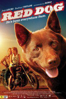Kırmızı Köpek-Red Dog-2011