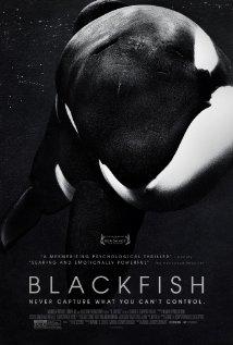 siyah balık-Blackfish-2013