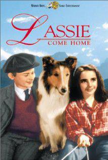 Lassie Come Home Yuvaya Donus 1943 Full Hd Turkce Dublaj Izle